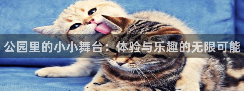 凯捷体育集团E.ON:公园里的小小舞台:体验与乐趣的无限可能
