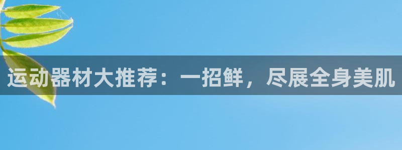 凯捷体育集团官网网址:运动器材大推荐:一招鲜,尽展全身美肌