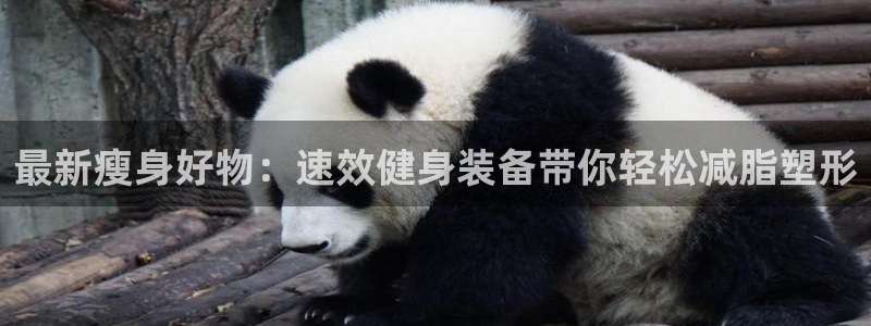 凯捷体育平台注册:最新瘦身好物:速效健身装备带你轻松减脂塑形