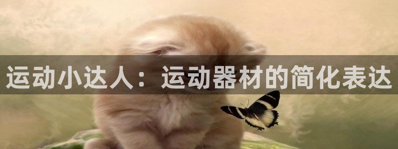 凯捷体育新能源:运动小达人:运动器材的简化表达
