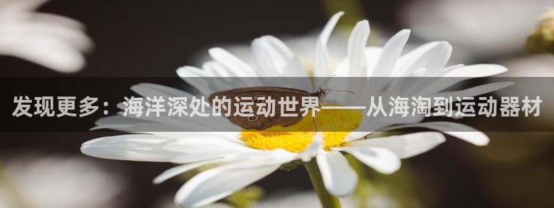 凯捷体育娱乐平台:发现更多:海洋深处的运动世界——从海淘到运