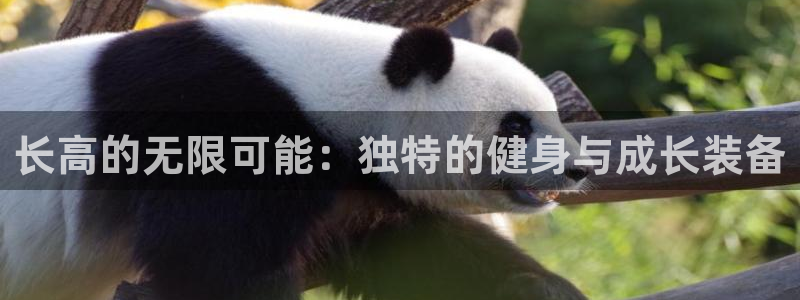 凯捷体育是干嘛的公司:长高的无限可能:独特的健身与成长装备