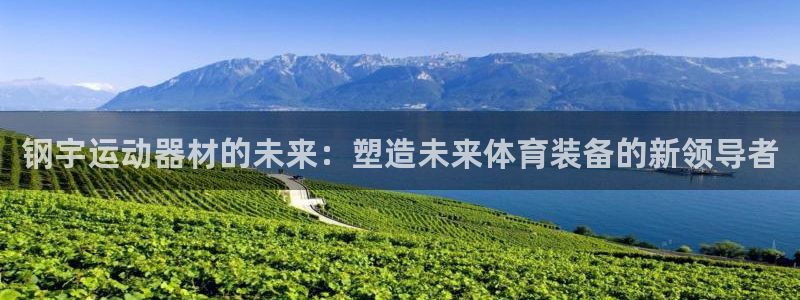 凯捷体育娱乐平台:钢宇运动器材的未来:塑造未来体育装备的新领
