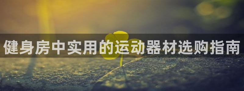 凯捷体育注册:健身房中实用的运动器材选购指南