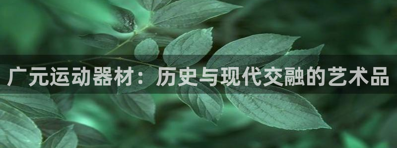 注册凯捷体育:广元运动器材:历史与现代交融的艺术品