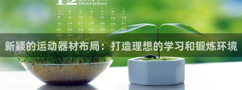 凯捷体育五金厂:新颖的运动器材布局:打造理想的学习和锻炼环境