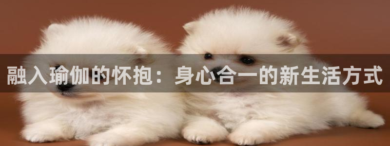 凯捷体育注册:融入瑜伽的怀抱:身心合一的新生活方式