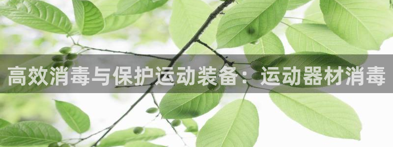 凯捷体育开户:高效消毒与保护运动装备:运动器材消毒