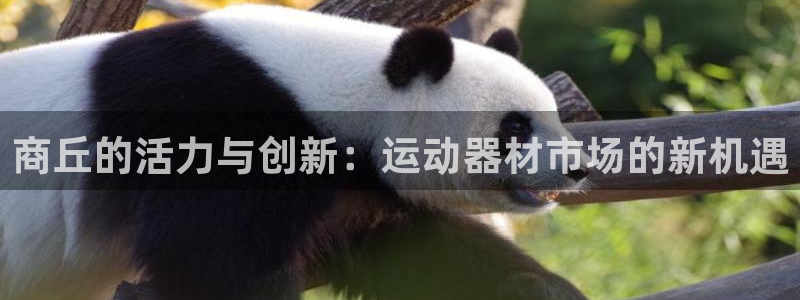 海南凯捷体育:商丘的活力与创新:运动器材市场的新机遇
