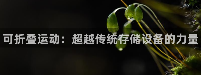 凯捷体育娱乐首页网站大全:可折叠运动:超越传统存储设备的力量