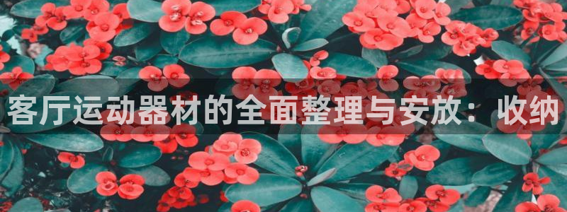 凯捷体育平台是正规平台吗知乎:客厅运动器材的全面整理与安放: