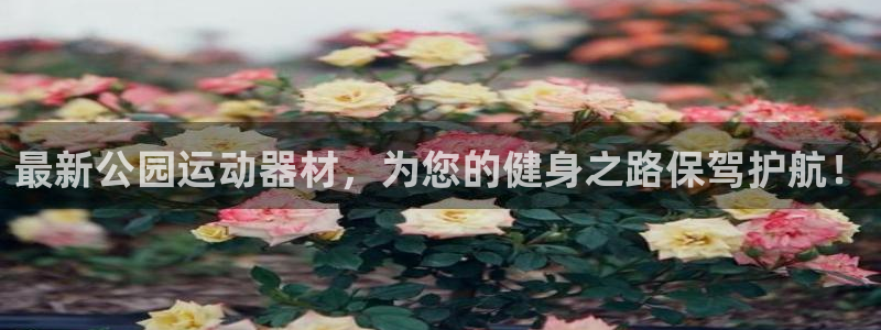 凯捷体育联系电话:最新公园运动器材,为您的健身之路保驾护航!